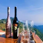 Syamantac Villa