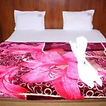 Hotel Dream Star