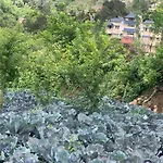 Bogar Palace Kodaikanal