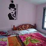 Kodai 360 For Bachelors Only