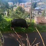 Newclouds Resort