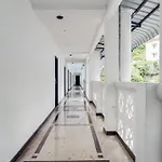 Collection O Coastal Grand Kurunji Meredian