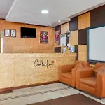 Collection O Coastal Grand Kurunji Meredian