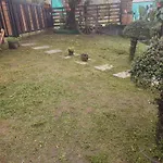Kasal\'S Nest