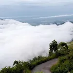 Praveen Woodhouse And Homestay Kodaikanal Vattakanal