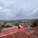 Misty Meadoz