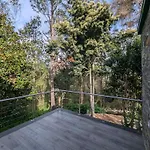 Sunny Woodlands Estate By Luxunlock Private Villas