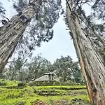 Springdale Villa