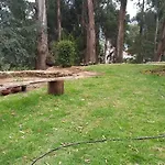 Springdale Villa