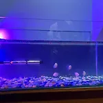 Greenviewhomestay