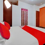 Collection O Amaran Shola Nest