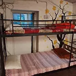 King Of Jungle Camping Ground And Waterfalls