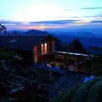 The Kodai Heaven