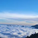 Glen Mist