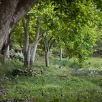 The Seven Sisters Farm
