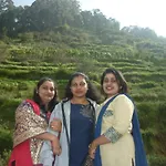 Holidays And Celebrations
