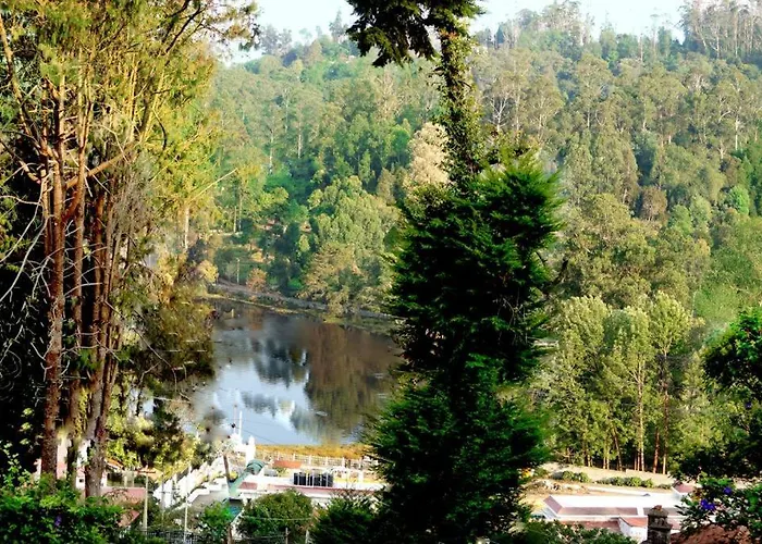Maruti Villa