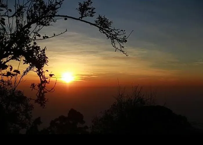 Kodai Vintage Home Stay