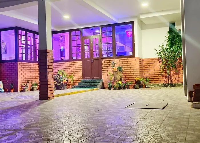 Kevins Bearshola Residency