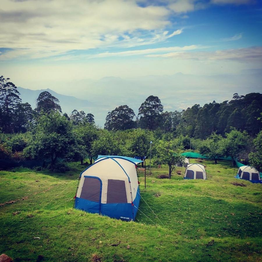 Hostel Dostel: Backpacker