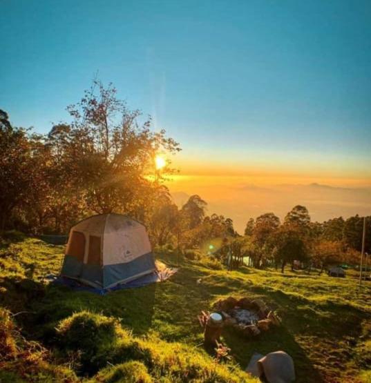 Hostel Dostel: Backpacker