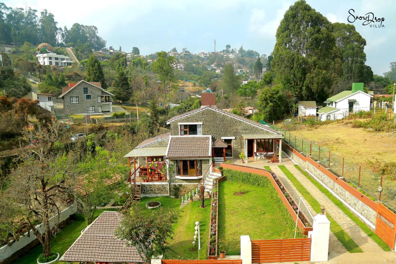 Snow Drop * Kodaikanal