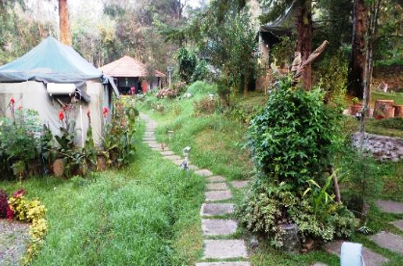 The Fern Creek Kodaikanal