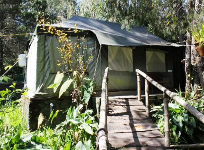 Resort The Fern Creek Kodaikanal