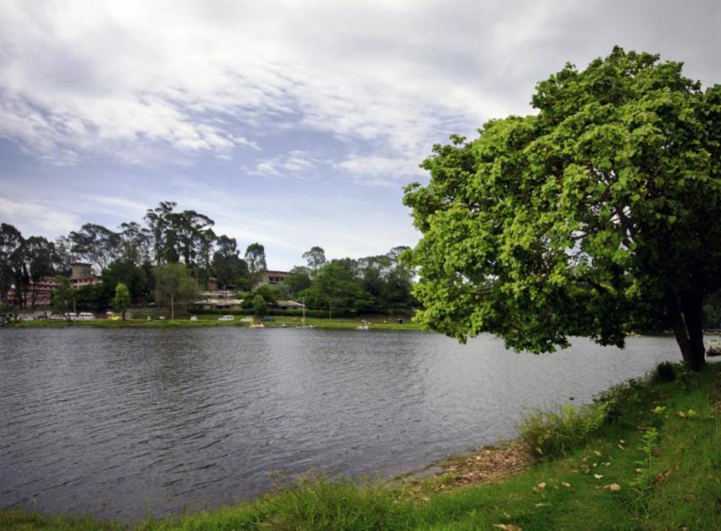 Resort The Fern Creek 4*