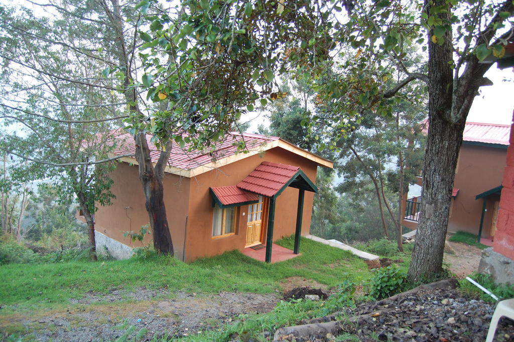 Bed & Breakfast Surya Holidays