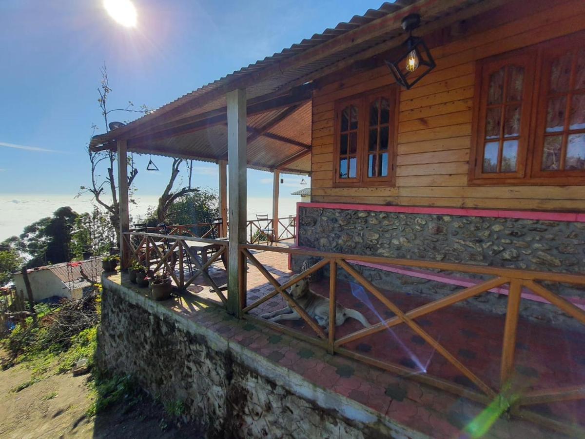 Dostel: Backpacker Hostel *