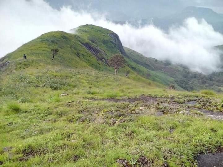 Jungle Retreat Natural Stay Kombaikadu * Kodaikanal