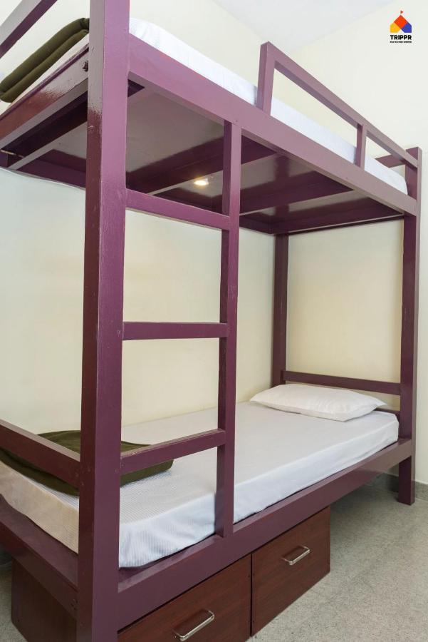 Trippr Backpacker Hostel