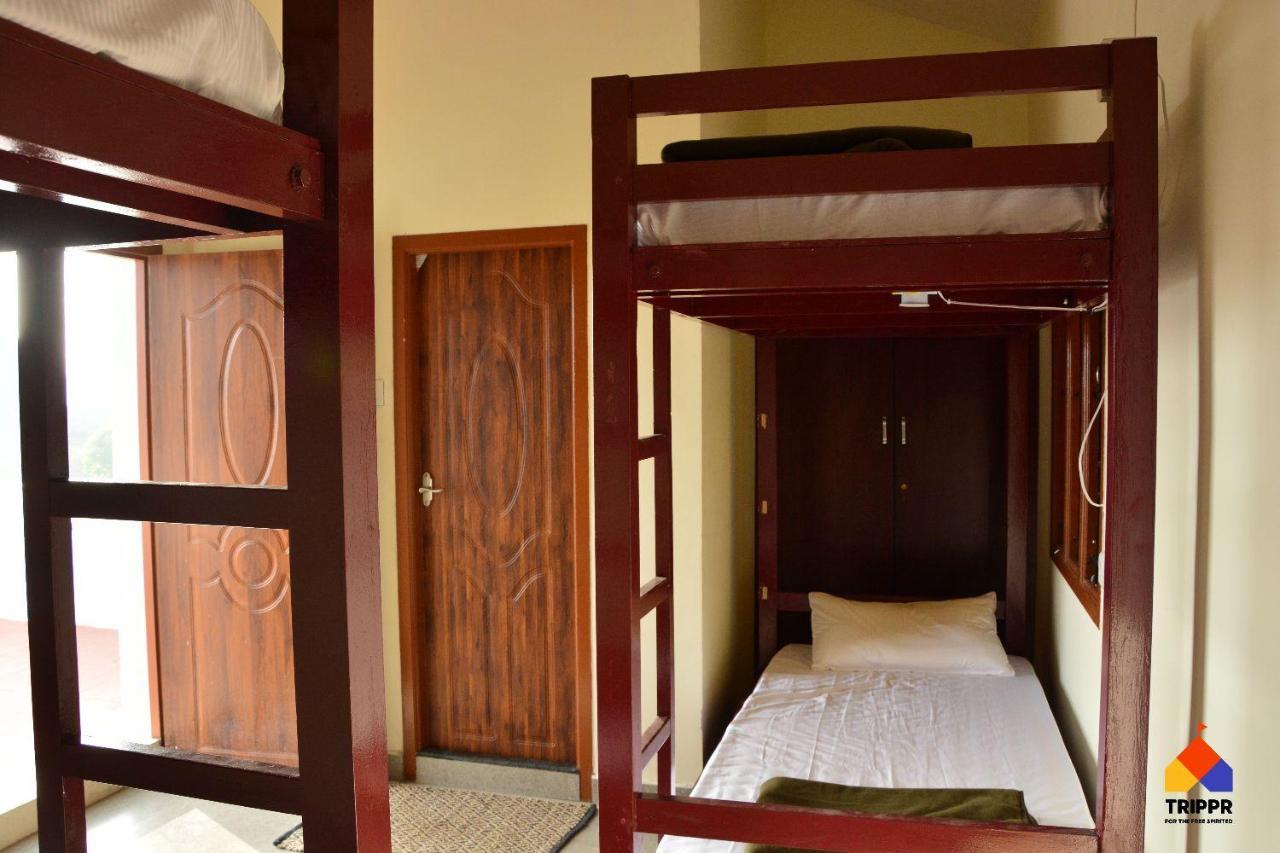Hostel Trippr Backpacker *