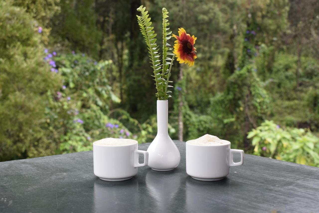 Altius Nest Hotel Kodaikanal