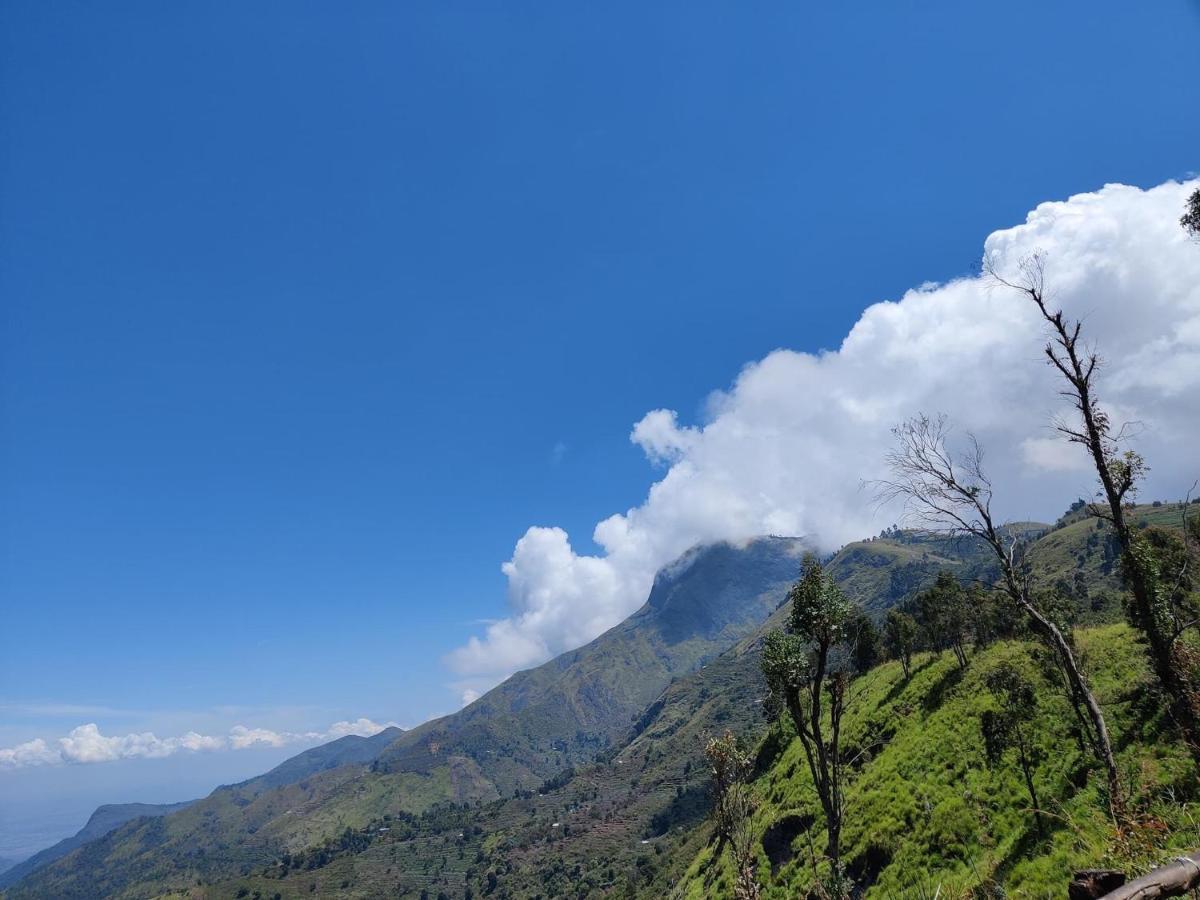 Kodai Countryside