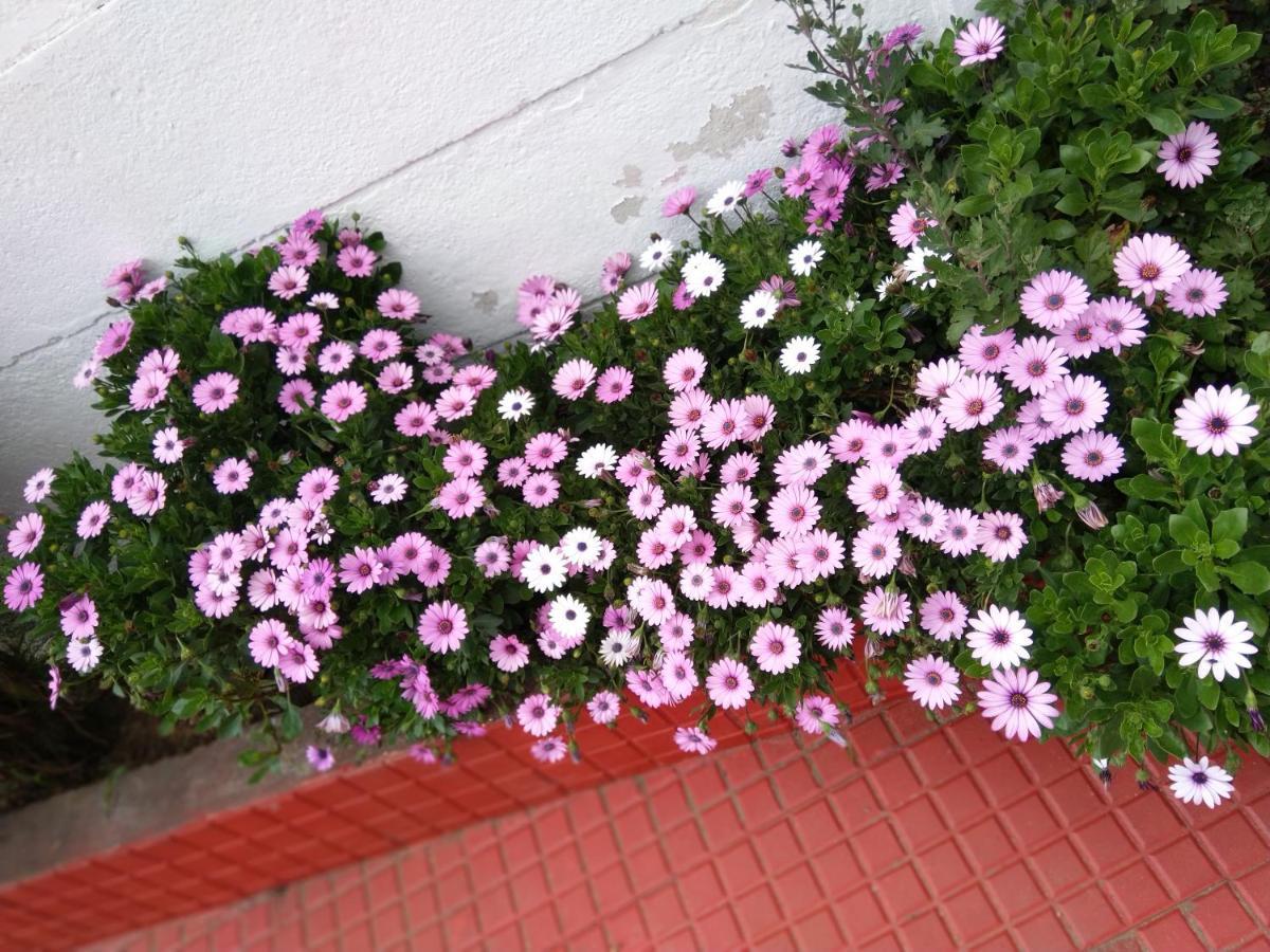 Ganapathy Garden Homestay Kodaikanal