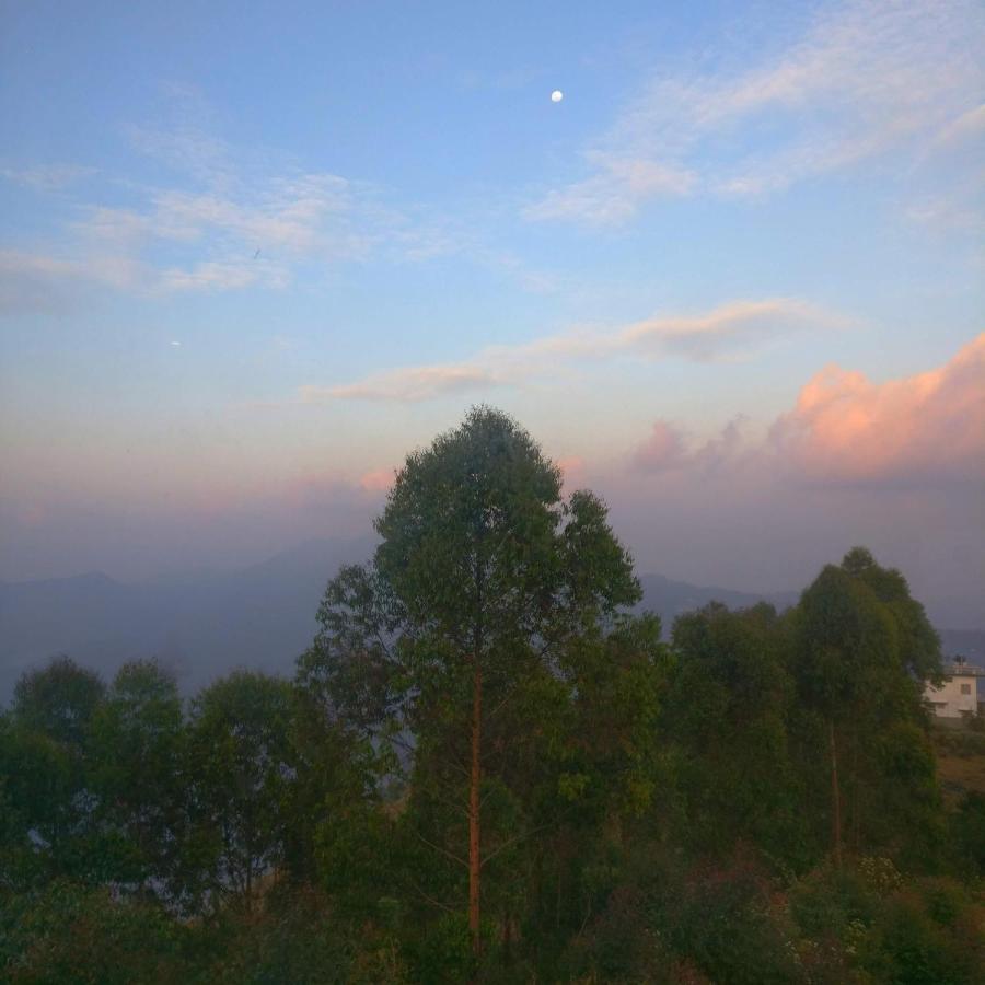 Mist View Kodaikanal
