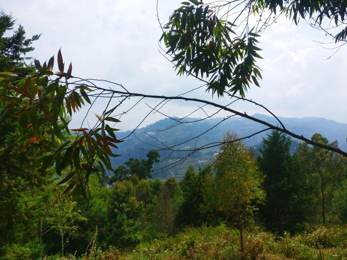 Mist View 3* Kodaikanal