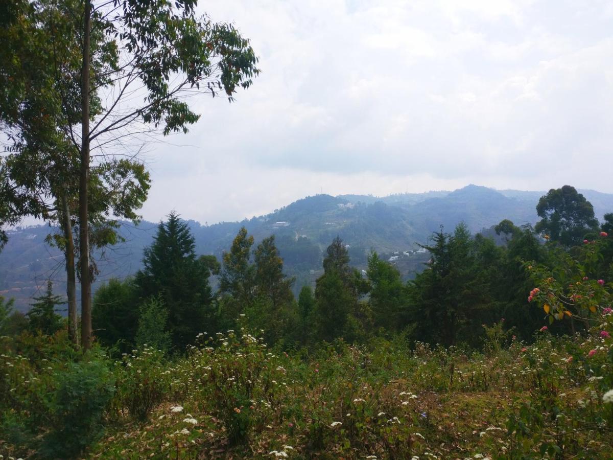 Mist View Hotel