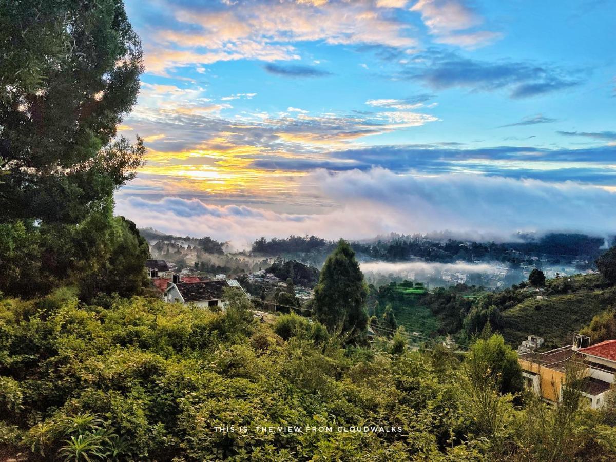 Homestay Cloudwalks *