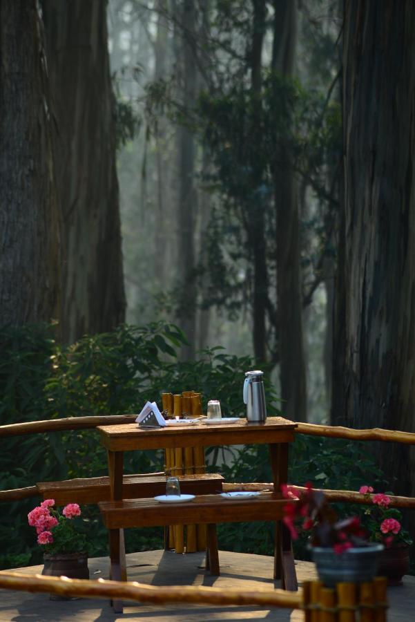 Western Valley Homestay *