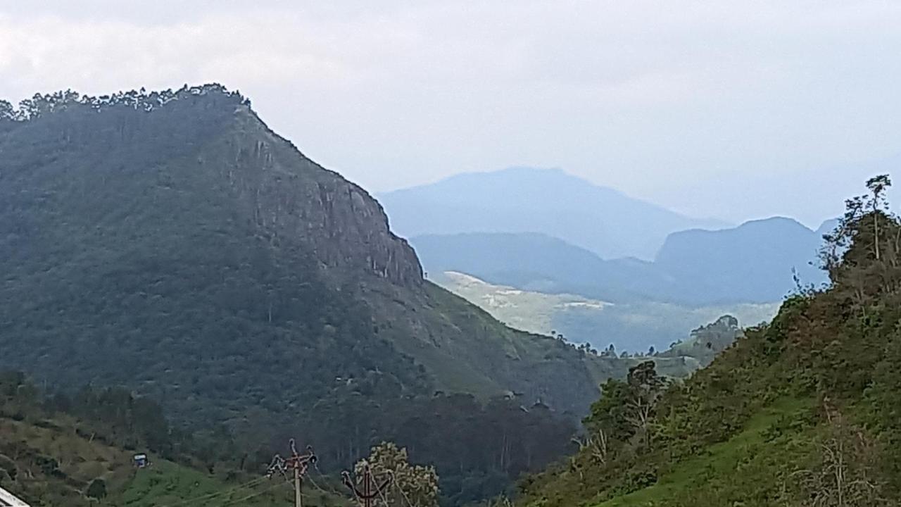 Salora Kodai *