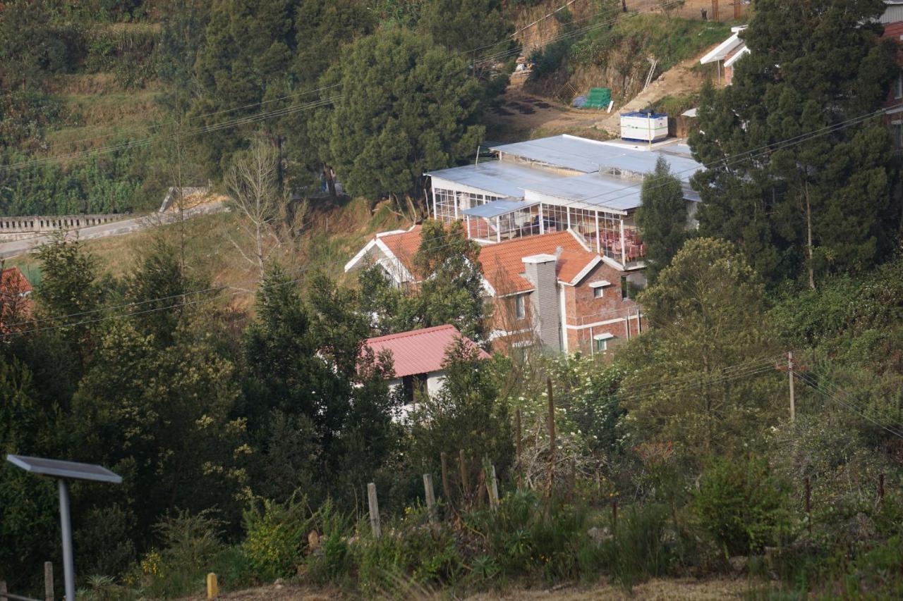 By The Creek. Kodaikanal