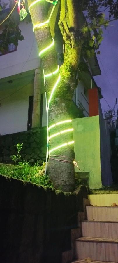 Sharia Homestay *