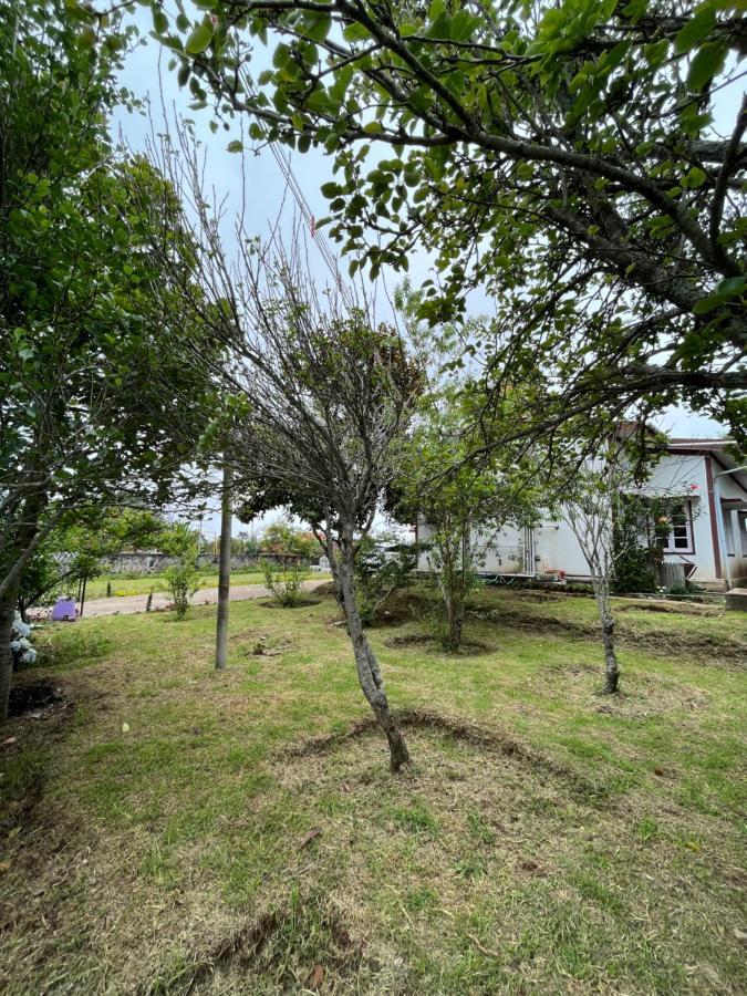 Garden's Kodaikanal