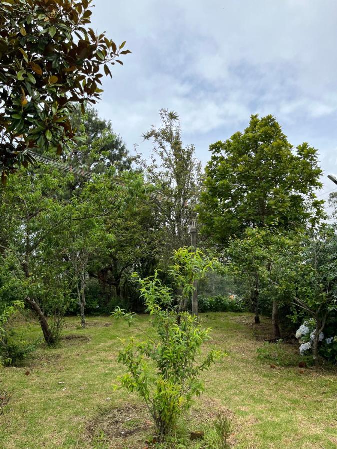 Garden's *
