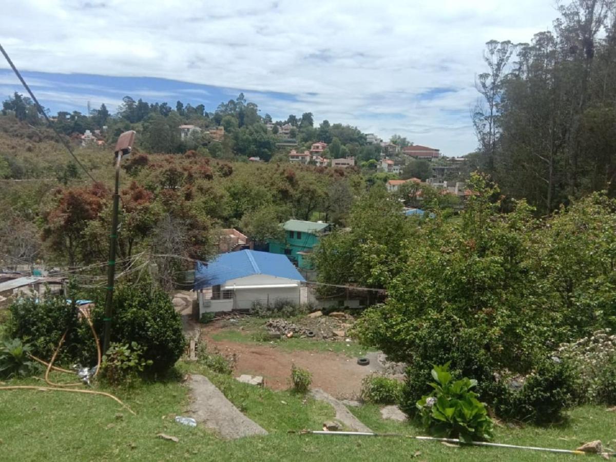 Golden Cherry Homestay Homestay *