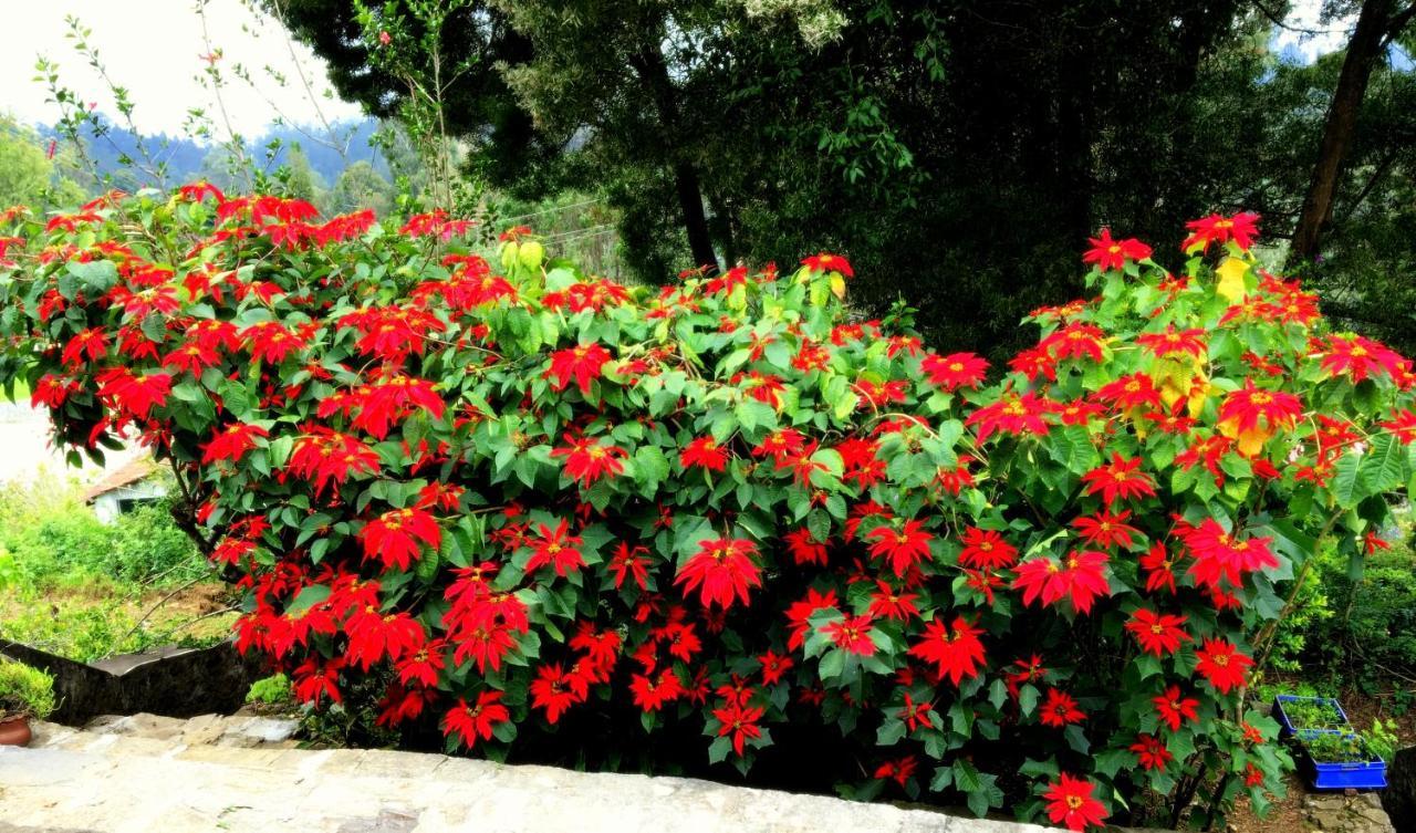 Maruti Homestay