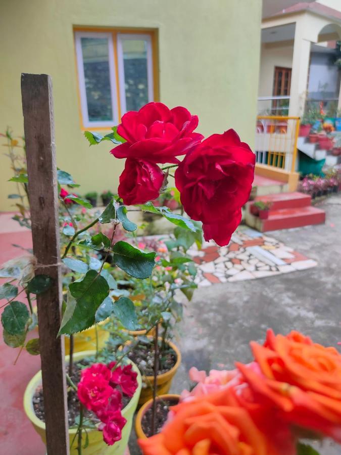 Misba Homestay